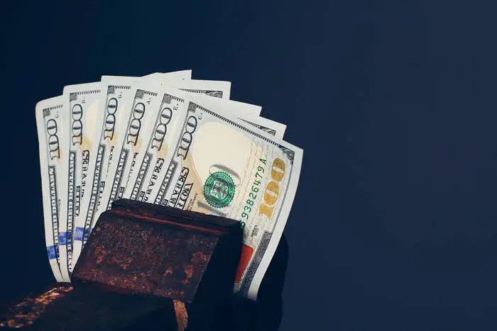 z11usd.jpg z11usd.jpg