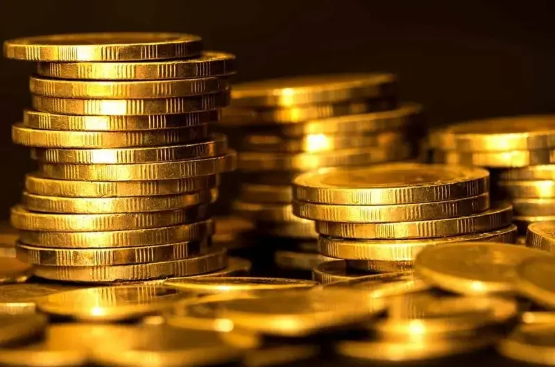 Investment scam: Gold coin ‘trader’ to pay back the money