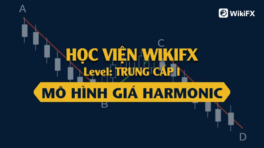 Giao Dịch Với Mô Hình Gartley