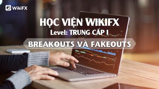 Tổng Kết: Giao Dịch Với Breakout Và Fakeout
