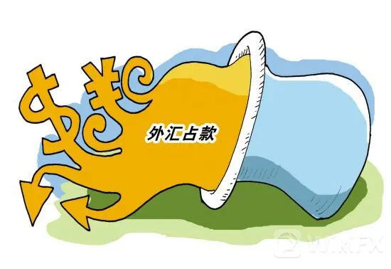 外汇占款