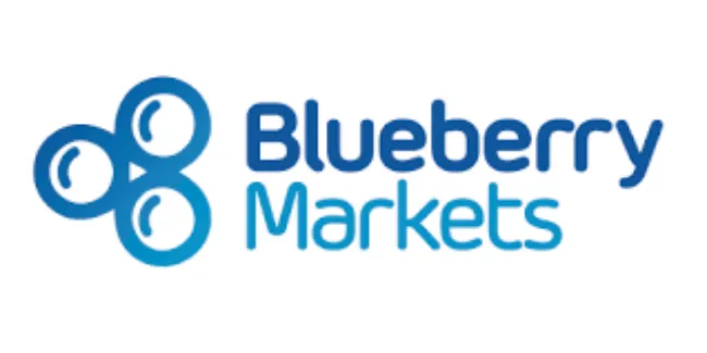 The Review  of Blueberry Markets 2022
