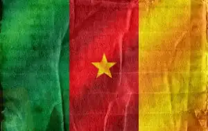 cameroon-flag-02.jpg