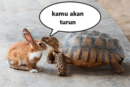 1.jpg 1.jpg