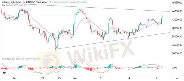 BTC/USD