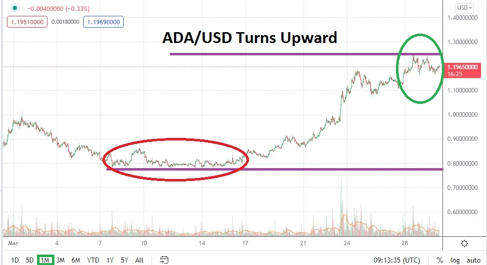 Cardano