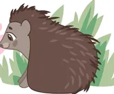 1.png 1.png