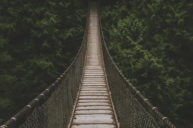 e1347c8236a4b2aea5307c8df82745c.png