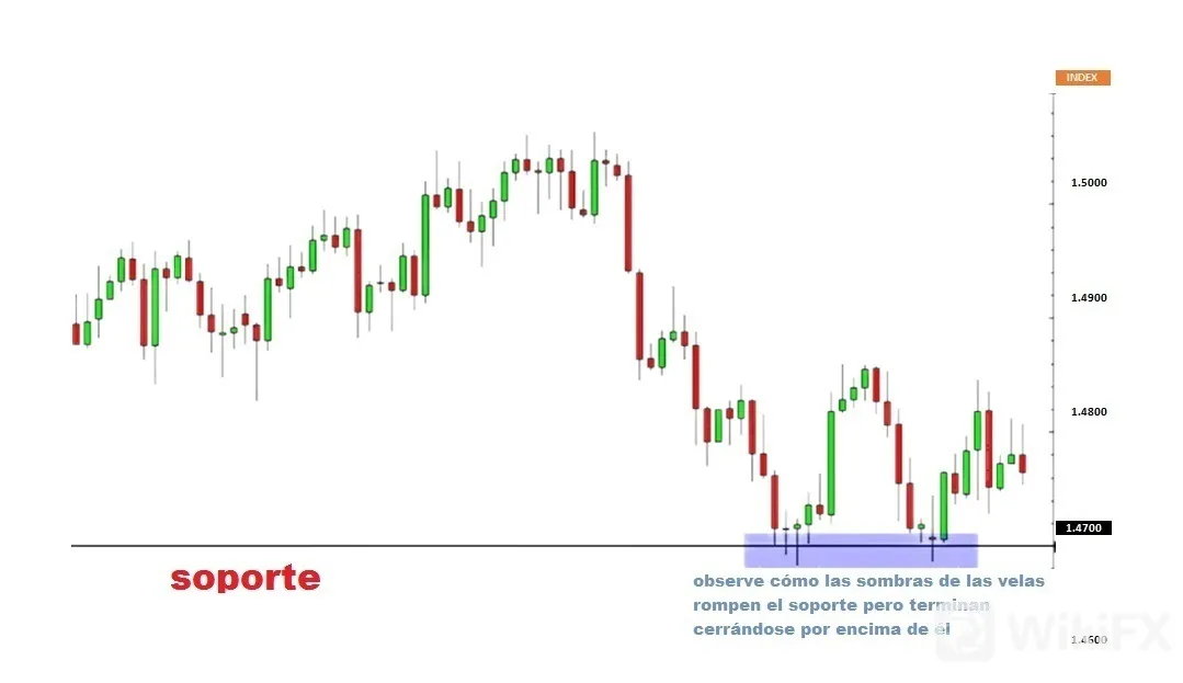 soporte soporte