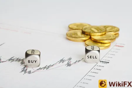 forex_final 