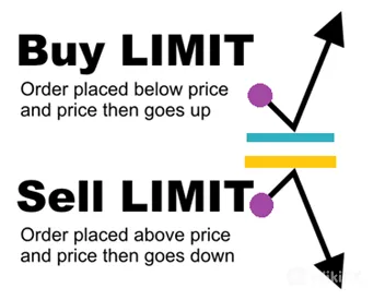 buy 