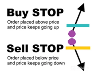 buy 