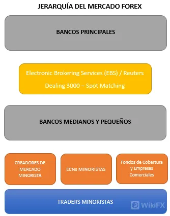 estructura 