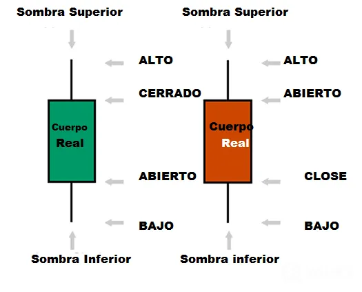 grafico 