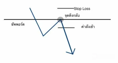 ๅพ7.jpg ๅพ7.jpg