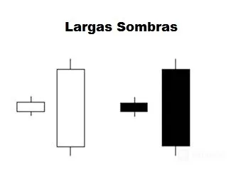 anatomia 