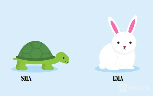 图1.png 图1.png