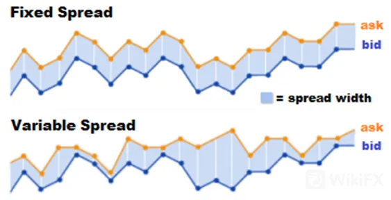 spreads spreads