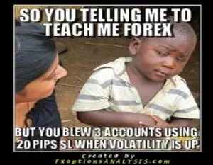 d533b0b589de7bb6621d7b40f6ff14a6--funny-shit-funny-stuff.jpg d533b0b589de7bb6621d7b40f6ff14a6--funny-shit-funny-stuff.jpg