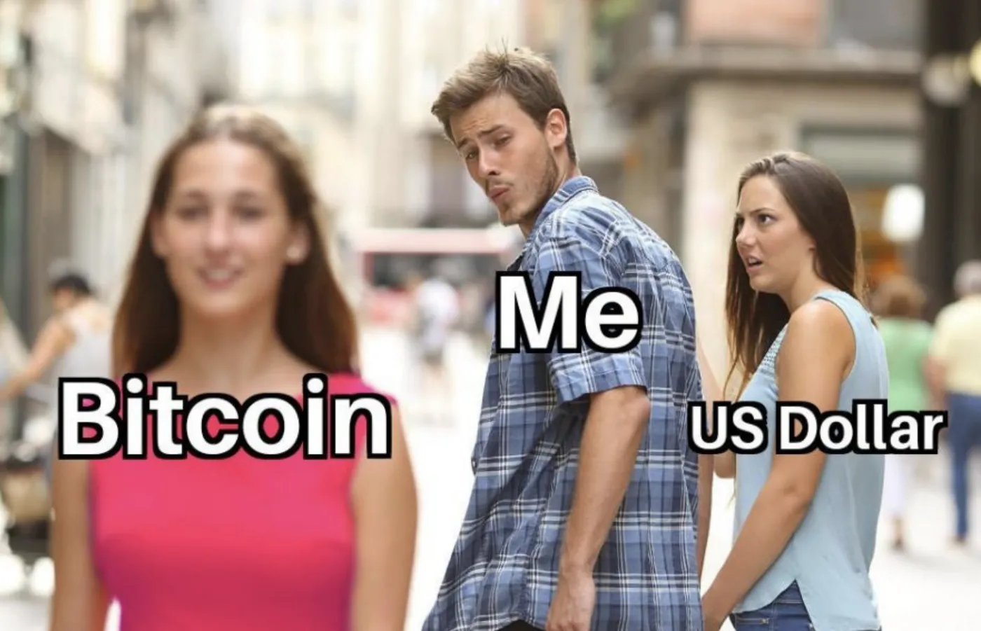 44.png 44.png