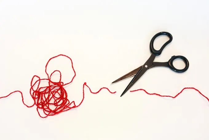 cut.jpg cut.jpg