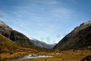 new-zealand-300x201.jpg new-zealand-300x201.jpg