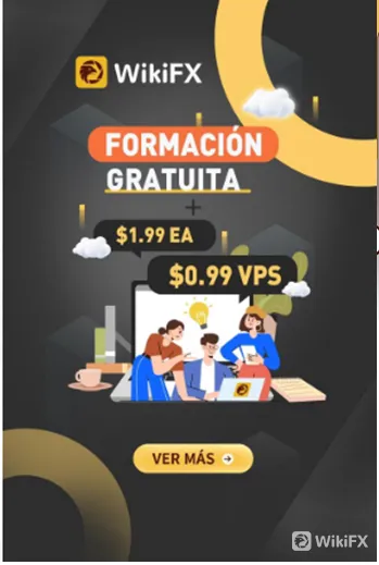 formacion formacion