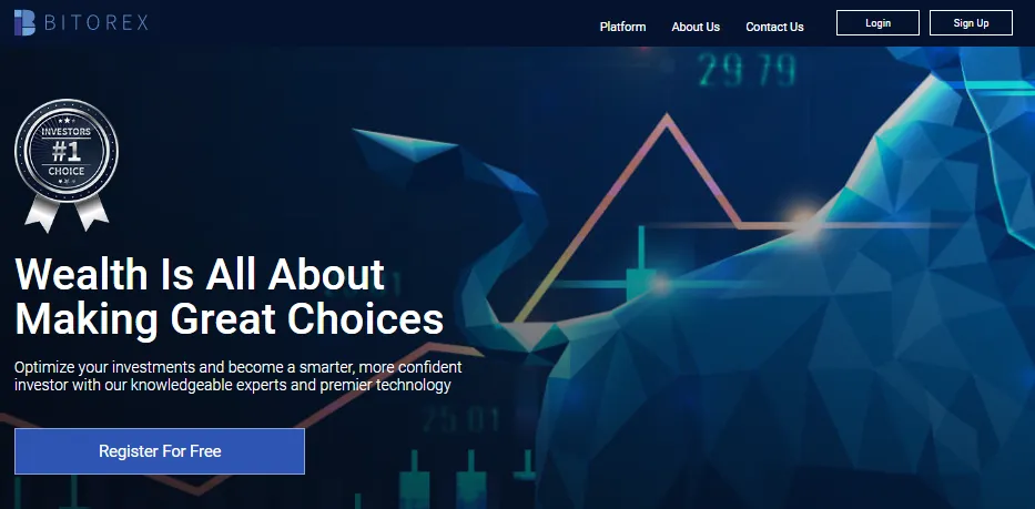 Bitorex-Review.png