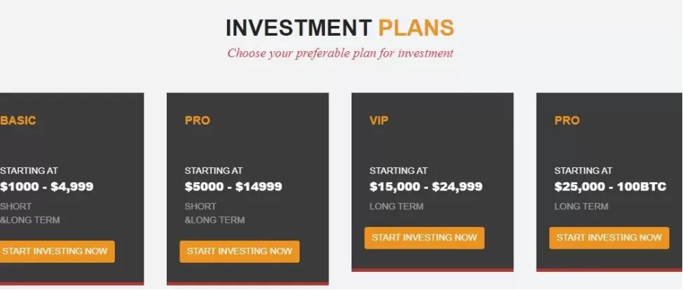 Investment 