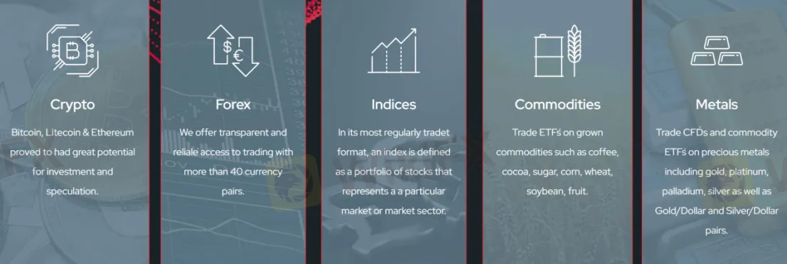 Market Market