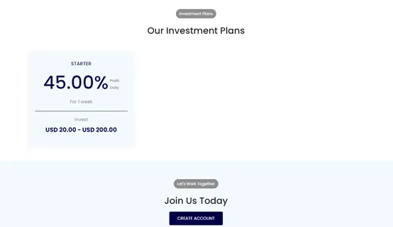 Investment 