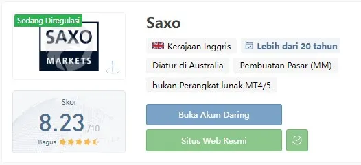 Saxo.jpg