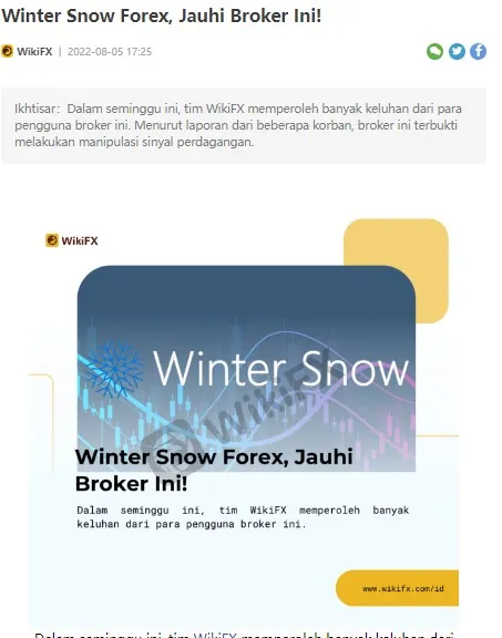 wintersnow 
