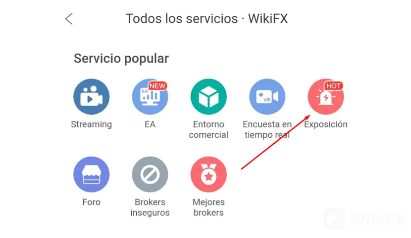 wikifx 