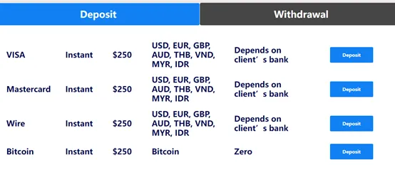 payment 