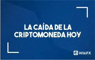 La caída de la criptomoneda hoy
