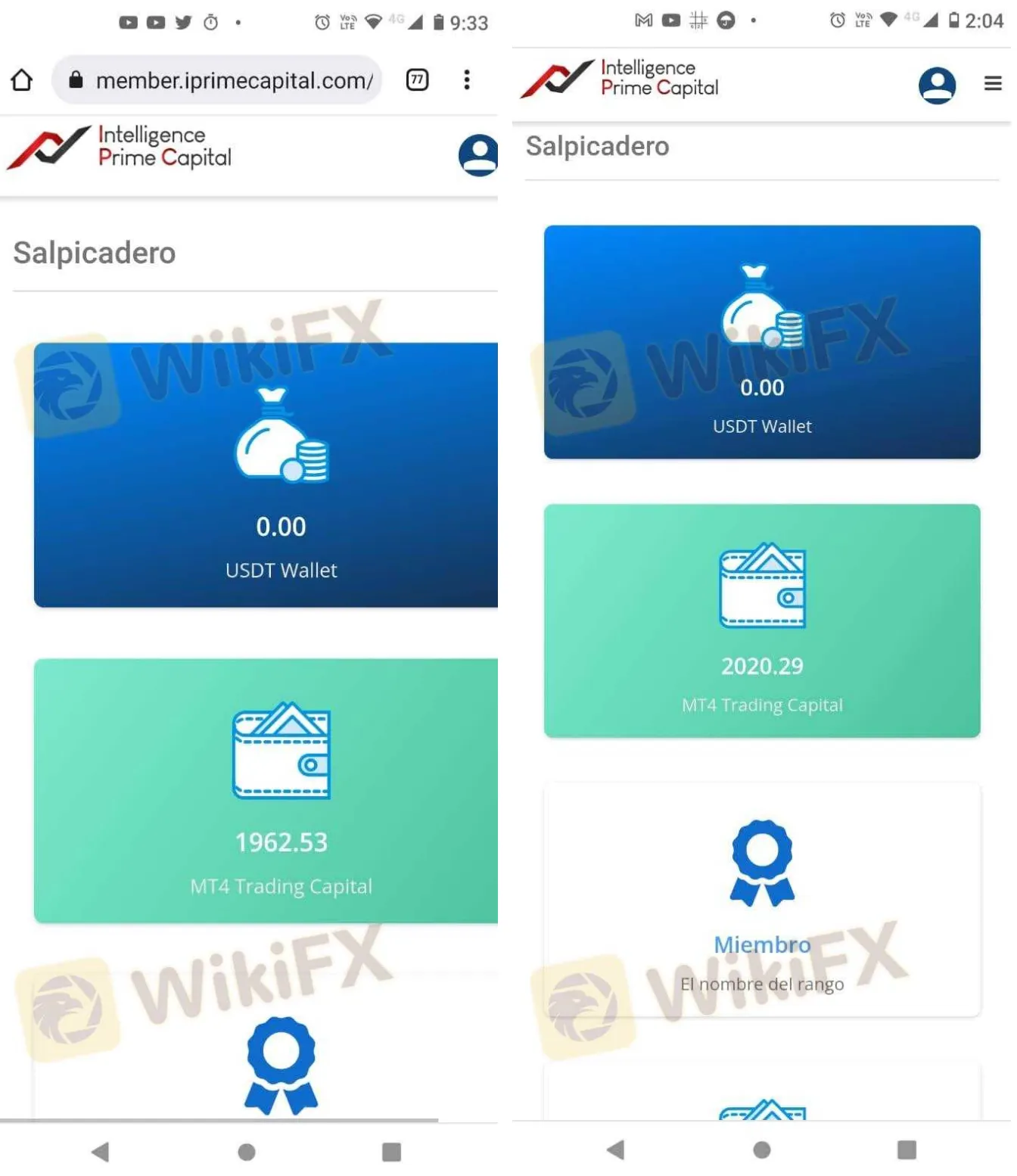 screenshot-20220822-114630.png screenshot-20220822-114630.png