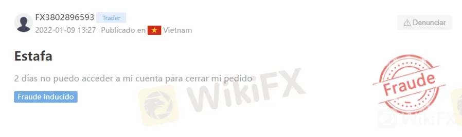 Liteforex Liteforex