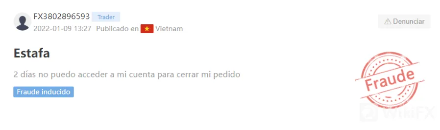 Liteforex Liteforex