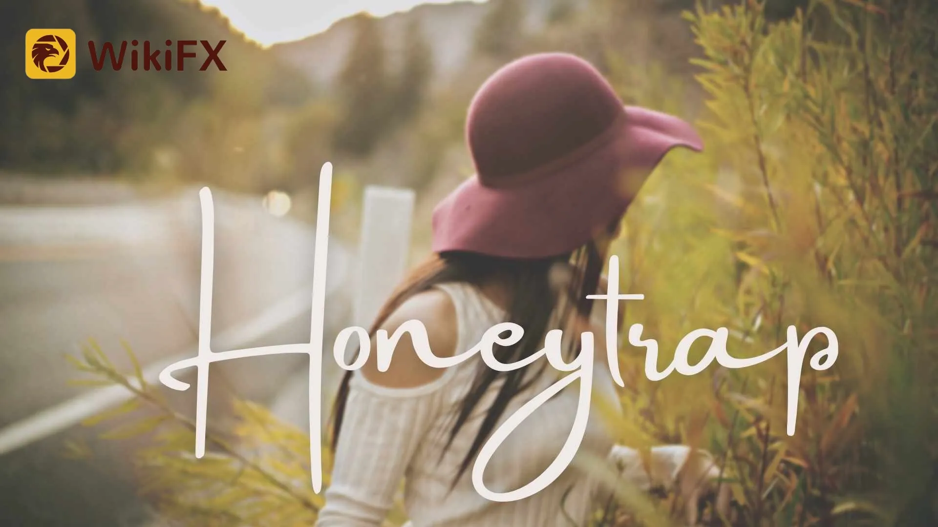 wikifx-honey-trap.jpg