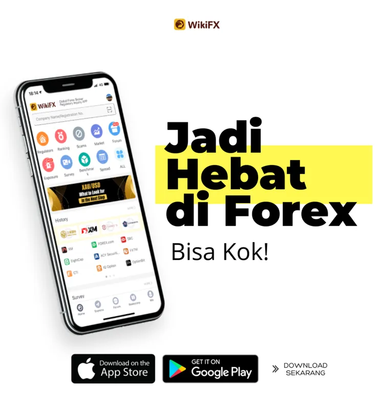 wiki 
