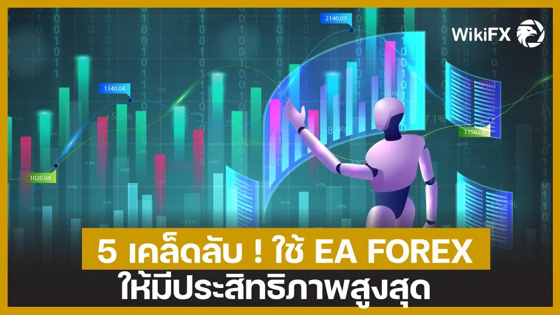 e8c1fdb8-18df-49be-8808-8eb5f10e1735.jpg e8c1fdb8-18df-49be-8808-8eb5f10e1735.jpg