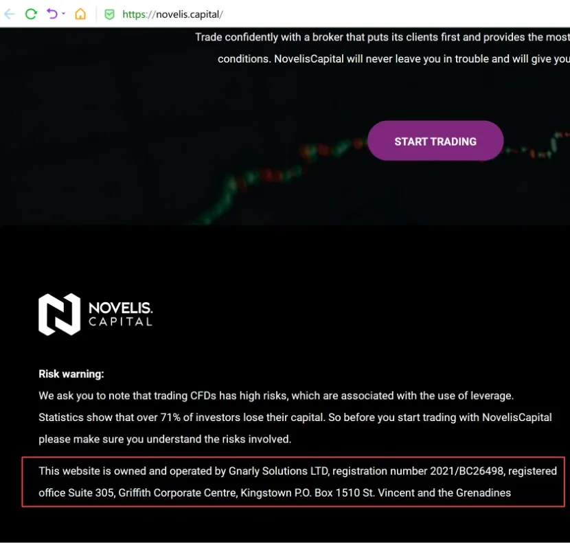 Novelis Capital Novelis Capital