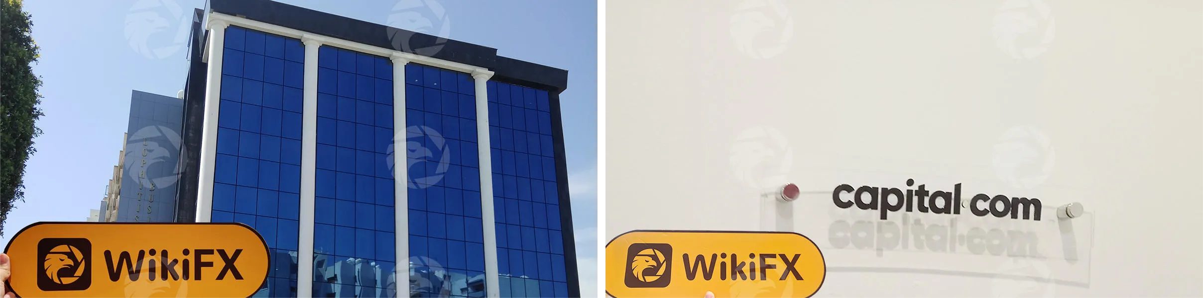 WikifX WikifX