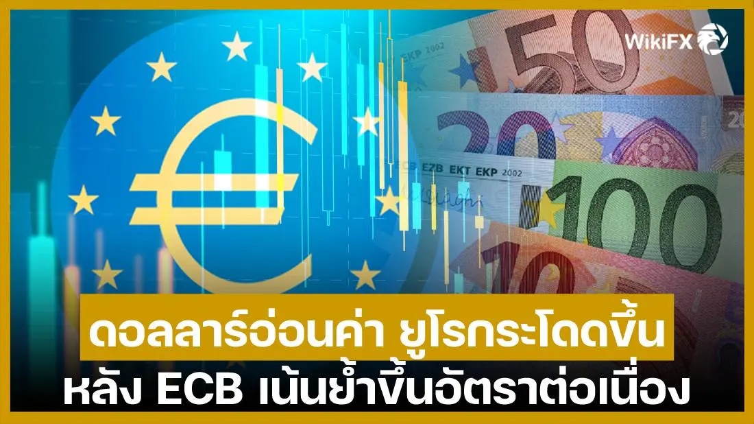 edae2c56-9a06-4a8c-a605-835217485b97.jpg edae2c56-9a06-4a8c-a605-835217485b97.jpg