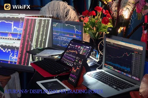trading-forex-rules-of-discipline.jpg
