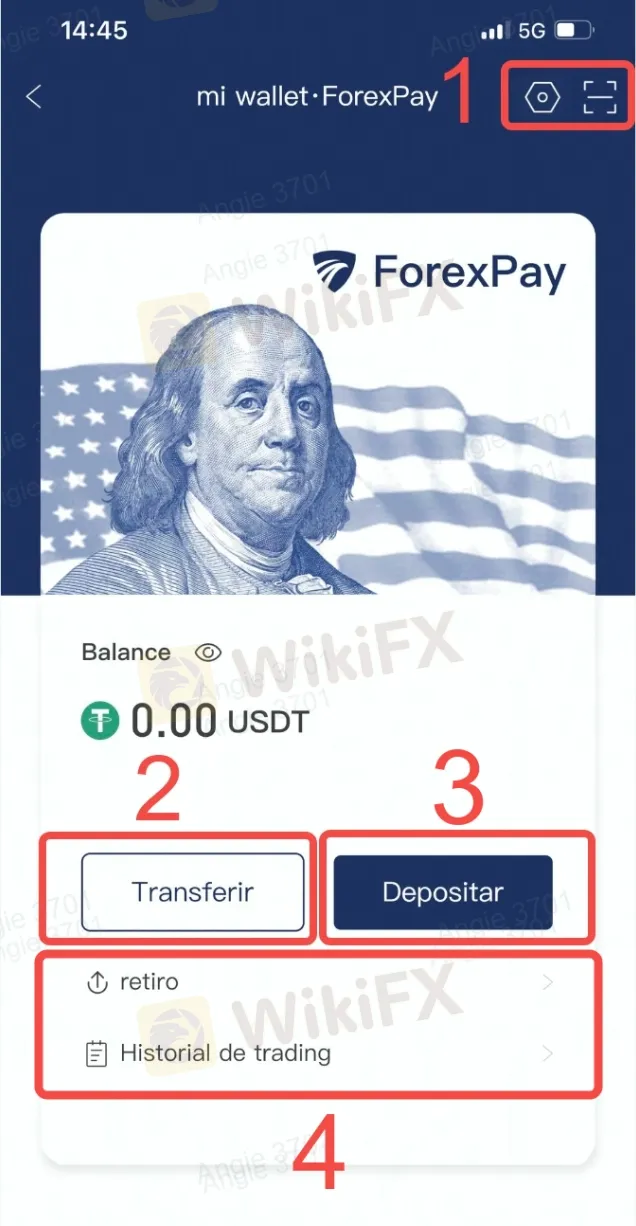 ForexPay Monedero