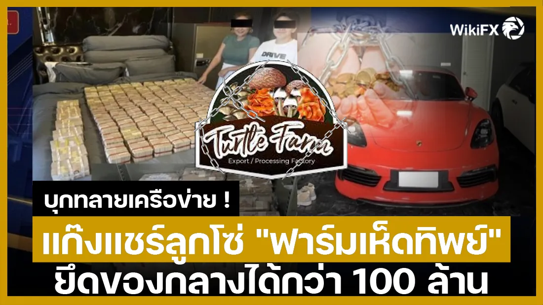 บุกทลายเครือข่าย ! แก๊งแชร์ลูกโซ่ ฟาร์มเห็ดทิพย์ ยึดของกลางได้กว่า 100 ล้าน-01.png บุกทลายเครือข่าย ! แก๊งแชร์ลูกโซ่ ฟาร์มเห็ดทิพย์ ยึดของกลางได้กว่า 100 ล้าน-01.png