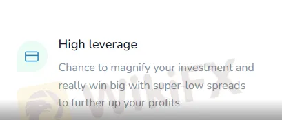 leverage 
