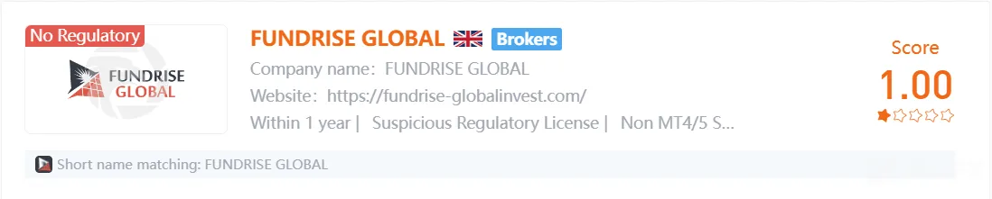 fundrise global.png